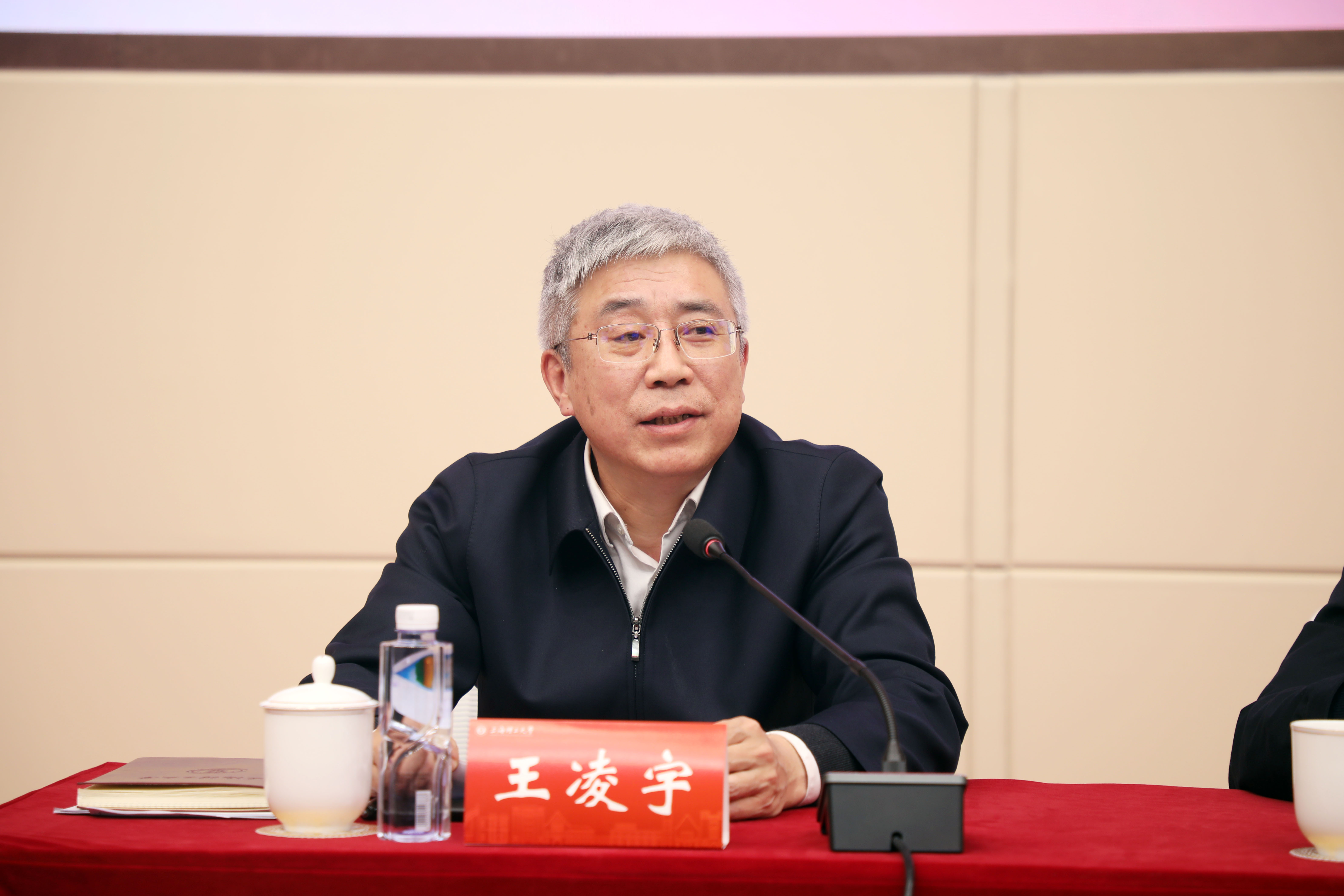 王凌宇讲话